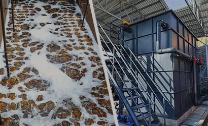 MBR membrán bioreaktor